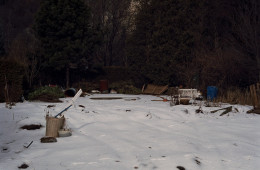 allotment garden