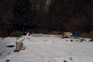 allotment garden