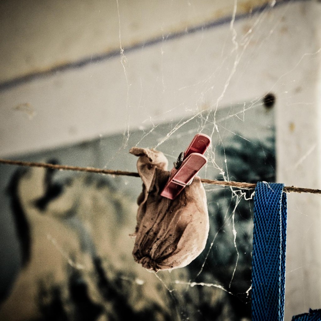 spider-2