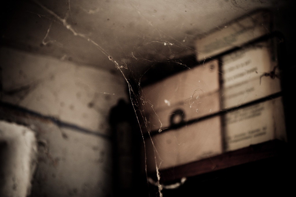 spider-3