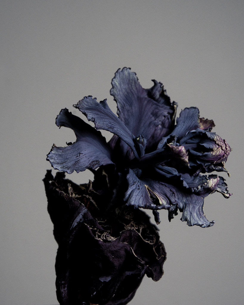 still-3