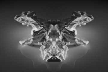 abstract photography Rorschach aesthetic