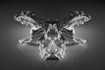 abstract photography Rorschach aesthetic