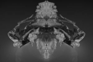 abstract photography Rorschach aesthetic