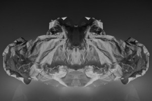 abstract photography Rorschach aesthetic