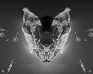 abstract photography Rorschach aesthetic