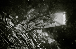 polluted water