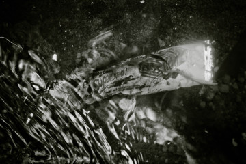 polluted water