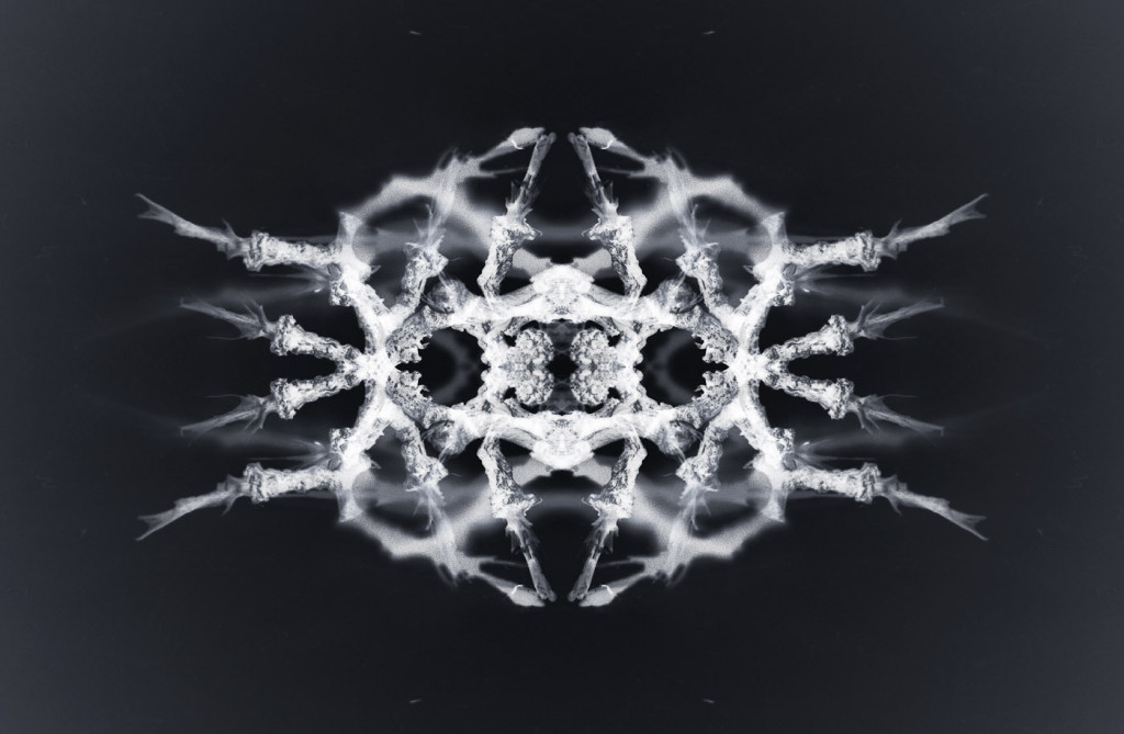 Grapoid