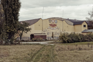 Reininghausgründe, Industriebrache