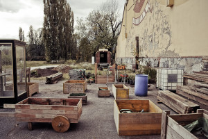 Reininghausgründe, Urban Gardening Project